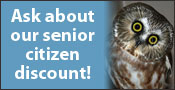 Horizon Wings' Senior Citizen Discount