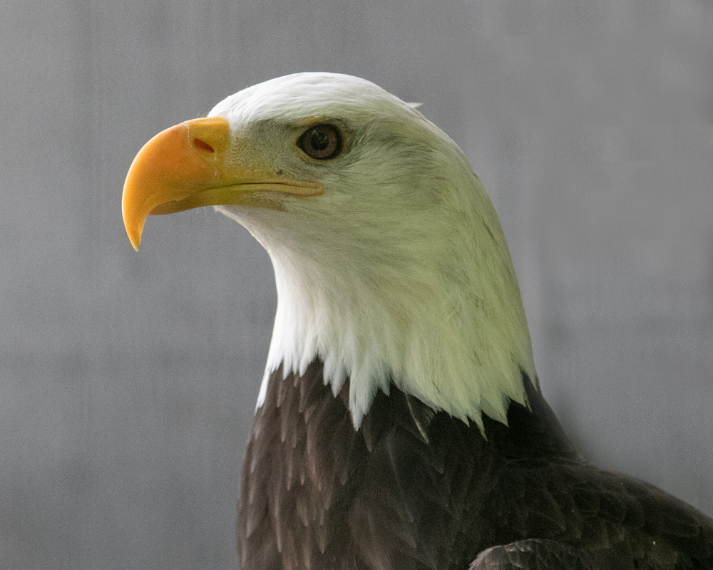 October calendar page